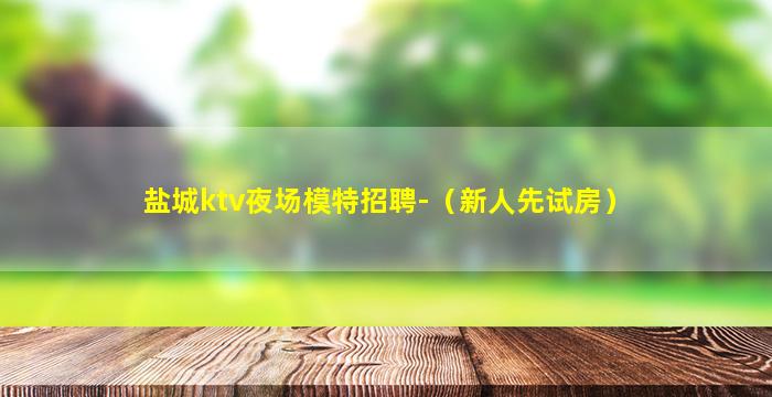 盐城ktv夜场模特招聘-（新人先试房）